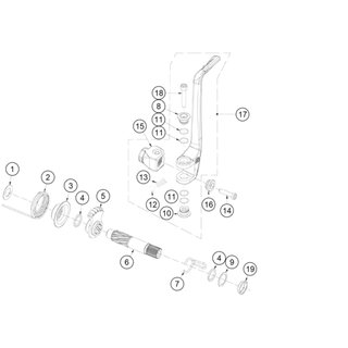 O-Ring